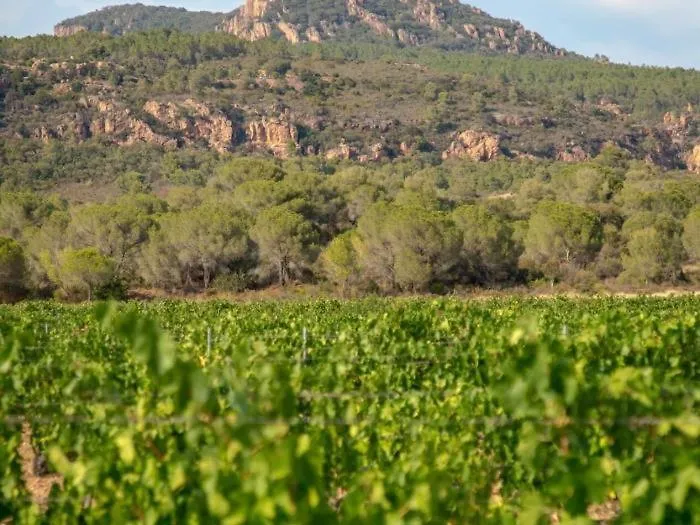 Villa 3 Etoiles De 120M2 - Vue Mer - Clim - Mer A 600M Roquebrune-sur Argens Γαλλία